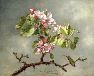Fiori di melo e un colibrì, 1875