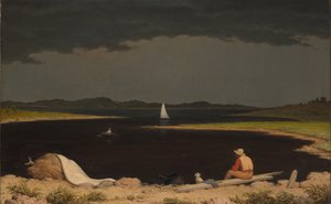 Tempesta in Arrivo da Martin Johnson Heade