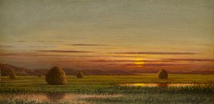 Paludi da Martin Johnson Heade