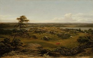 Rocce nel New England da Martin Johnson Heade