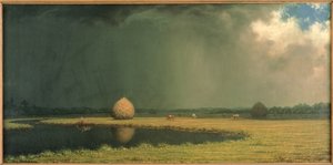 Fieno della palude salata, 1865 circa (olio su tela) da Martin Johnson Heade