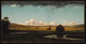 Piogge estive da Martin Johnson Heade