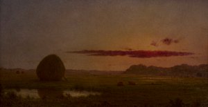  da Martin Johnson Heade