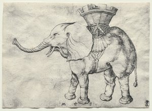 Un elefante con howdah, c. 1485 da Martin Schongauer