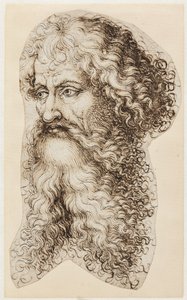 Testa di uomo barbuto in profilo di tre quarti a sinistra da Martin Schongauer