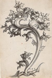 Ornamento fogliare di un cardo da Martin Schongauer