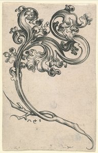 Ornamento a Foglia da Martin Schongauer