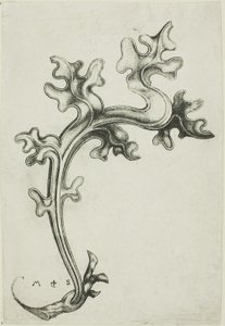 Ornamento a forma di foglia da Martin Schongauer