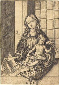 Madonna con un pappagallo