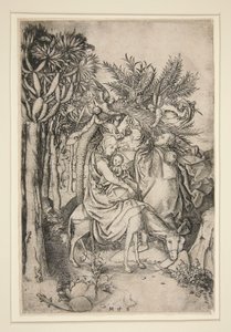 La fuga in Egitto, dalla serie Vita della Vergine da Martin Schongauer
