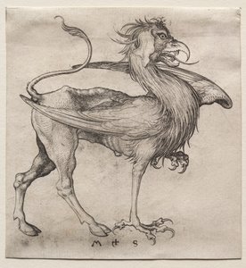Il grifone