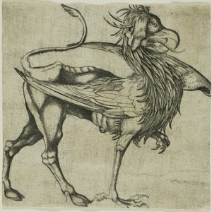 Il Grifone