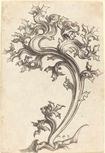 Ornamento di cardo da Martin Schongauer