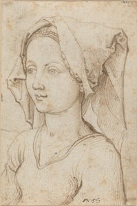 Giovane donna con una sciarpa da Martin Schongauer