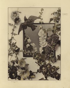 Uno dei Festoni e Gruppi Decorativi di Martin Gerlach