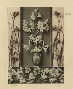 Uno dei Festoni e Gruppi Decorativi di Martin Gerlach