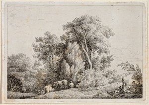 Paesaggio