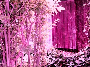 Alla casa del giardino