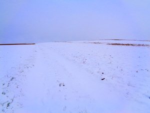 Campi in inverno