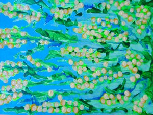 Fiori1