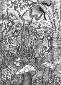 Paesaggio con funghi da Martina Konitzky