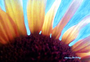 Girasole e cielo estivo da Martina Konitzky