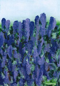 Lavanda da Martina Konitzky