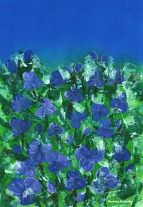 Viole