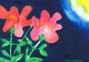 Rose Selvatiche