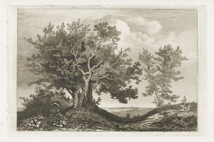 Strada di campagna tra due filari di alberi da Martinus Antonius Kuytenbrouwer jr.