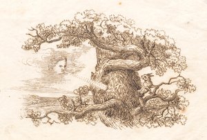Illustrazione per "Cinquanta favole per bambini" di Hey da Martinus Rørbye