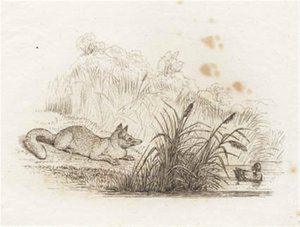 Illustrazione per "Cinquanta favole per bambini" di Hey da Martinus Rørbye