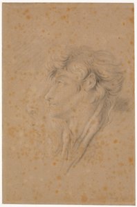 Studio di un giovane e teste di un vecchio barbuto di profilo a sinistra da Martinus Rørbye