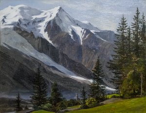 Vista su Chamonix e sul Monte Bianco