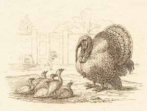 Illustrazione per "Halvhundrede Fabler for Børn" di Hey da Martinus Rørbye
