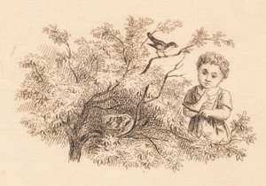 Illustrazione per "Cinquanta favole per bambini" di Hey