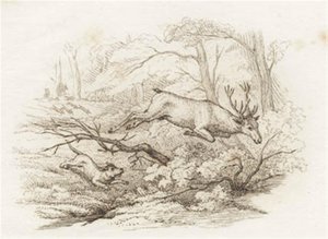 Illustrazione per "Halvhundrede Fabler for Børn" di Hey da Martinus Rørbye