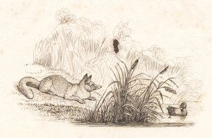 Illustrazione per "Cinquanta favole per bambini" di Hey da Martinus Rørbye