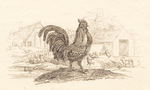 Illustrazione per "Cinquanta Favole per Bambini" di Hey da Martinus Rørbye