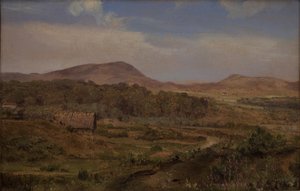 Paesaggio vicino a Blokhus, Jutland