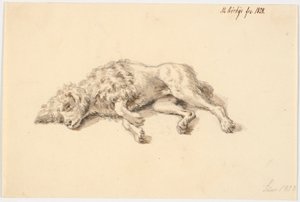 Cane barboncino sdraiato da Martinus Rørbye