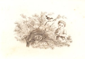 Conti 1846-48
