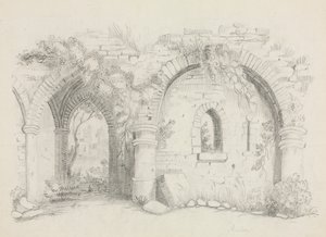 Rovine da Mary Altha Nims