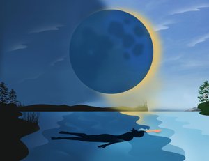 Eclissi, 2017 (digitale)