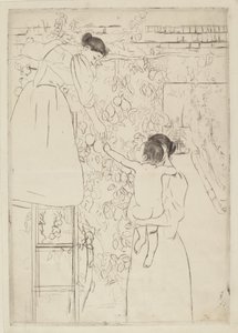 Raccolta di frutta, c. 1893 da Mary Cassatt