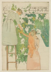 Raccolta di frutta, c. 1893 da Mary Cassatt