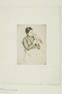 Il pappagallo