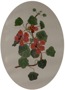 Nasturzi, c.1870