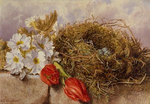Natura Morta di Tulipani in Fiore e un Nido di Uccelli su una Mensola