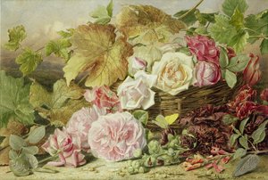 Peonie, rose e malvarosa